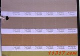 TPX可撕色票 FBP100 PANTONE 潘通Fashion and Home Color Specifier and Guide - Paper Edition服装和家居TPX色票